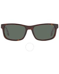 Carrera - Rectangular Sunglasses 299/s 0086/qt 57 - Lyst