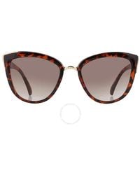 Guess Factory - Brown Gradient Cat Eye Sunglasses Gf0313 52f 55 - Lyst
