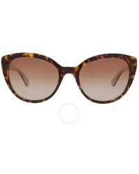 Kate Spade - Polarized Brown Gradient Cat Eye Sunglasses Amberlee/s 0086/la 55 - Lyst