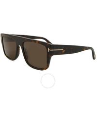Tom Ford - Dunning Brown Square Sunglasses Ft0907 52e 55 - Lyst