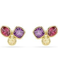Swarovski - Imber Stud Earrings Mixed Cuts, Multicolored, 18K Finish - Lyst