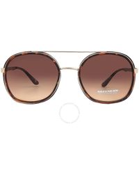 Skechers - Gradient Brown Sunglasses Se6184 52f 59 - Lyst