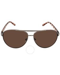 Calvin Klein - Brown Pilot Sunglasses - Lyst