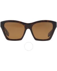 Burberry - Arden Polarized Brown Cat Eye Sunglasses Be4391 300283 54 - Lyst