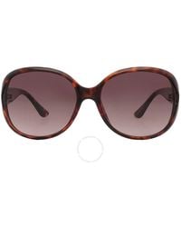 Guess Factory - Brown Gradient Butterfly Sunglasses Gf0366 52f 60 - Lyst