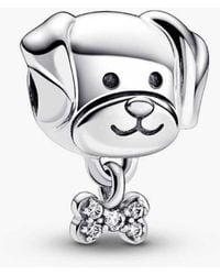 PANDORA - Dog Sterling Charm With Clear Cubic Zirconia - Lyst