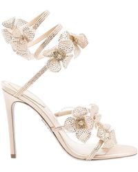 Rene Caovilla - Floriane Honey Heeled Sandals, Brand Size 35 Us - Lyst