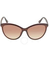 Calvin Klein - Cat Eye Sunglasses Ck19534s 210 58 - Lyst