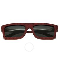 Spectrum - Clark Wood Sunglasses - Lyst