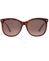 Guess Factory - Brown Mirror Cat Eye Sunglasses Gf0302 52g 60 - Lyst