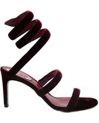 Rene Caovilla - Open Box - Lyst