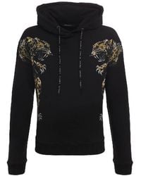 Roberto Cavalli - Leopard Graphic Print Cotton Hoodie - Lyst