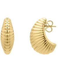 Tresorra - 14K Graduated Puffy Ribbed Shell Hoop Earrings - Lyst