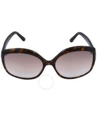 Tom Ford - Gradient Butterfly Sunglasses - Lyst
