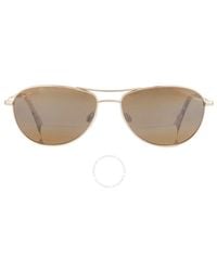 Maui Jim - Baby Beach Reader Hcl Broze +2.00 Pilot Sunglasses H245-1620 56 - Lyst