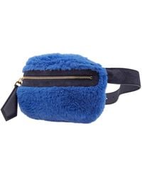Max Mara Teddy Belt Bag In Blue