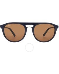 Ferragamo - Amber Oval Sunglasses Sf1090s 414 54 - Lyst