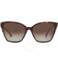 Kate Spade - Polarized Brown Gradient Cat Eye Sunglasses Amiyah/g/s 0086/la 56 - Lyst