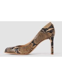 JOSEPH - Alette Snake Print Leather Heeled Pumps - Lyst