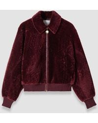 JOSEPH - Alpes Short Hair Shearling Jacket - Lyst