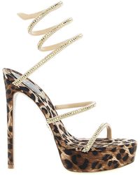 Rene Caovilla - 'cleo Leopard' Sandals - Lyst