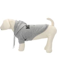 Moschino - Capsule Pets Hoodie - Lyst