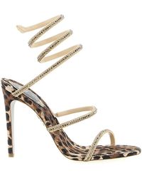 Rene Caovilla - 'cleo Leopard' Sandals - Lyst