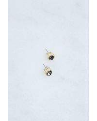 Karen Millen - 14Kt Plated Hand Set European Crystal Solitaire Stud Earrings - Lyst