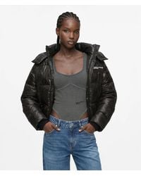 KL Jeans - Cropped Shiny Puffer Jacket - Lyst