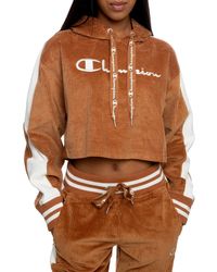 cropped hoodie champion
