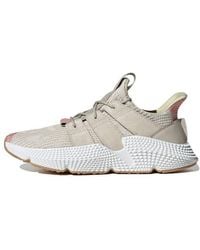 adidas - Prophere - Lyst