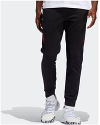 adidas - Rose Pant Basketball Sports Long Pants - Lyst