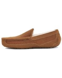 UGG - Ascot Corduroy Ii 'Chestnut' - Lyst