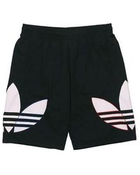 adidas - Originals Tricolor Logo Printed Dri-fit Training Sports Shorts - Lyst