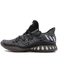 adidas - Crazy Explosive Low Pk - Lyst