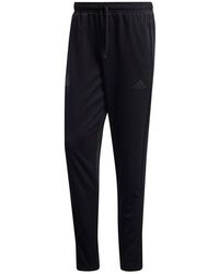 adidas - Tan Tr 3S Pant Soccer/Football Sports Long Pants - Lyst