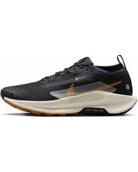 Nike - Pegasus Trail 5 Gore-Tex 'Off Noir Monarch Pale Ivory' - Lyst