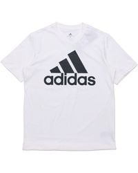 adidas - Printed Big Logo Essentials Tee Short Sleeve - Lyst