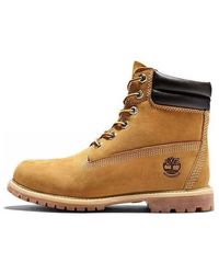 Timberland - 6 Inch Waterville Double Collar Boots - Lyst