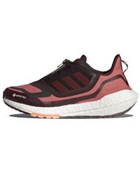 adidas - (Wmns) Ultraboost 22 Gore-Tex 'Wonder Shadow' - Lyst