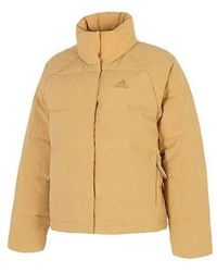 adidas - (Wmns) Helionic Relaxed Down Jacket - Lyst