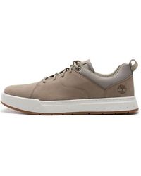 Timberland - Maple Grove Trainer - Lyst