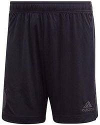 adidas - Dfb A Sho Soccer/Football Training Sports Tournament Shorts - Lyst
