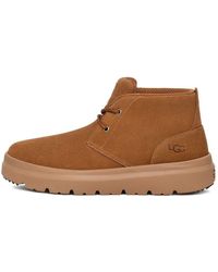 UGG - Burleigh Chukka Boot 'Chestnut' - Lyst