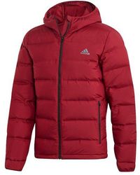 adidas - Helionic Ho Jkt Outdoor Slim Fit Hooded Down Jacket Wine - Lyst