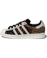adidas - Atmos X Superstar 'Crazy Animal' - Lyst
