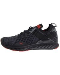 PUMA - Ignite Evoknit Lo 'Pavement' - Lyst