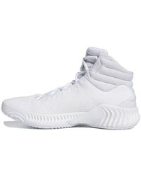 adidas - Pro Bounce 2018 Sneakers 'Cloud' - Lyst