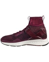 PUMA - (Wmns) Ignite Evoknit 'Dark Cmft' - Lyst