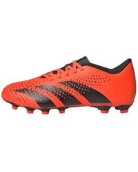 adidas - Predator Accuracy.4 Fg 'Heatspawn Pack' - Lyst